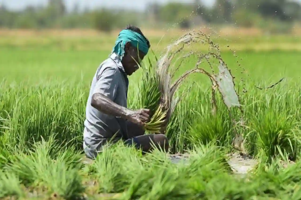 PM Fasal Bima Yojana Set...