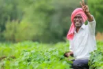 PM Kisan Yojana Update: When Will Farmers Get the Rs 2,000 Installment? Complete This Task Soon
