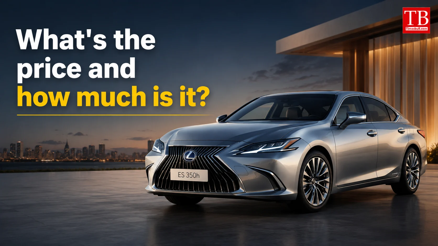 What's the price and how much is it?