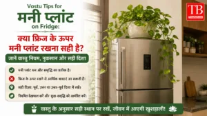 Vastu Tips- क्या फ्रिज