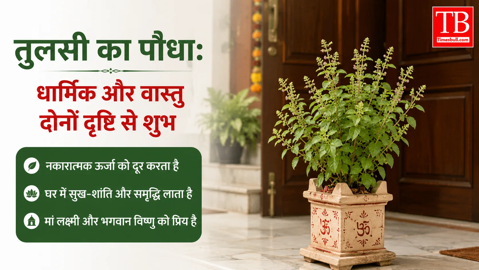 तुलसी का पौधा: धार्मिक और वास्तु दोनों दृष्टि से शुभ