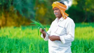 PM Fasal Bima Yojana