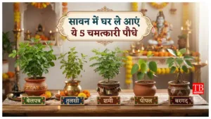 Lucky Plants – सावन