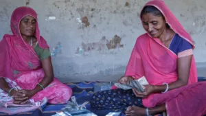 Ladki Bahin Yojana: Will