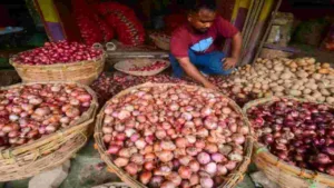 Onion Price: City to