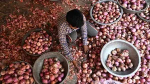 Onion Price Hike: Big