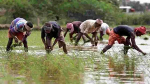 PM-Kisan Status Check Online