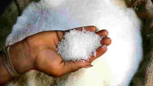 Sugar Price Update: Government