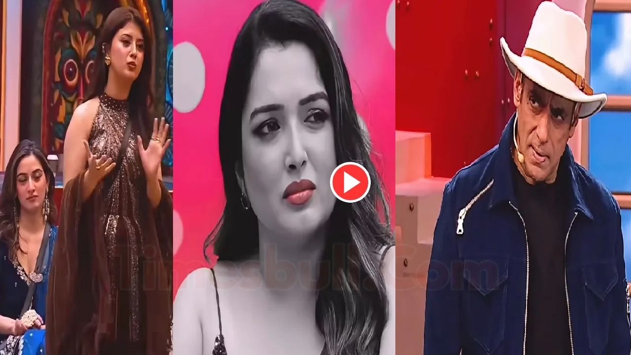 Bigg Boss 20 Weekend Ka Vaar – Salman Khan Praises Qazi Touqeer & Takes Class on Arishfa-Amarpali Dubey Fight – Watch Viral Promo