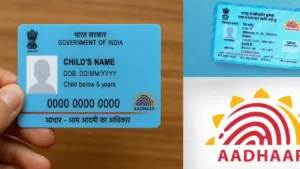 Blue vs White Aadhaar
