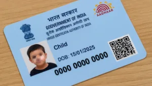Blue Aadhaar Card: How