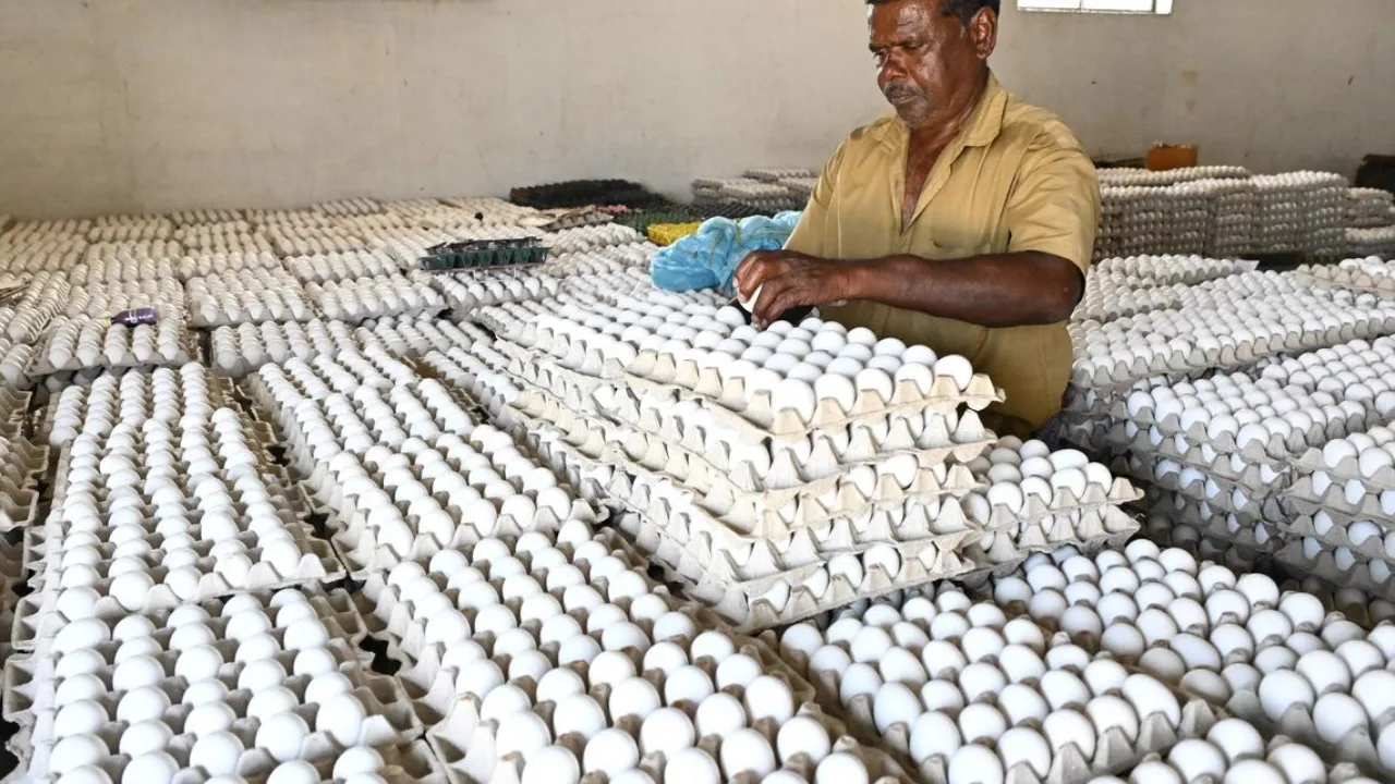 Egg Price Hike: Eggs Become Costlier After Sugar and Onion Prices Rise, Know the Price