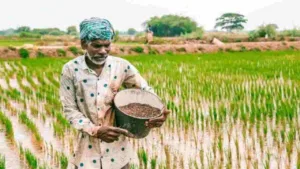 PM Kisan 24th Installment: