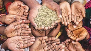 Free Ration: When Will