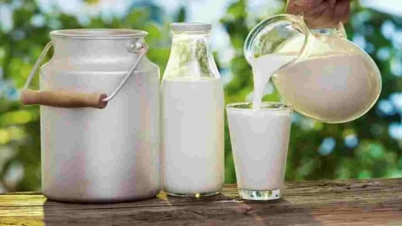Milk Price- Prices May Increase by Rs 12, Decision Expected Today