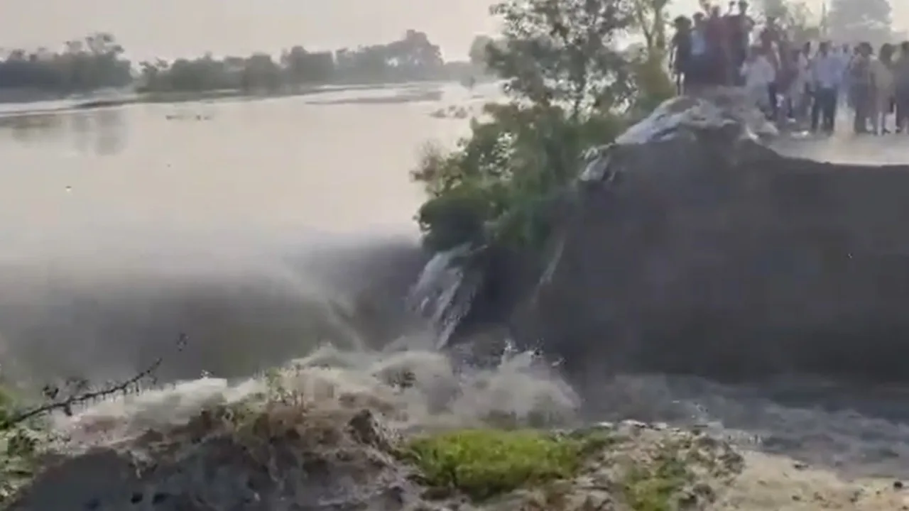 Bihar Flood: Ring Dam Breached, People in Fear, Watch Video