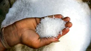 Sugar Price: Wholesale Rates