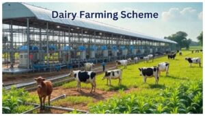 Start Your Dairy With