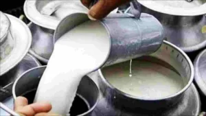 Milk Price Hike- Milk