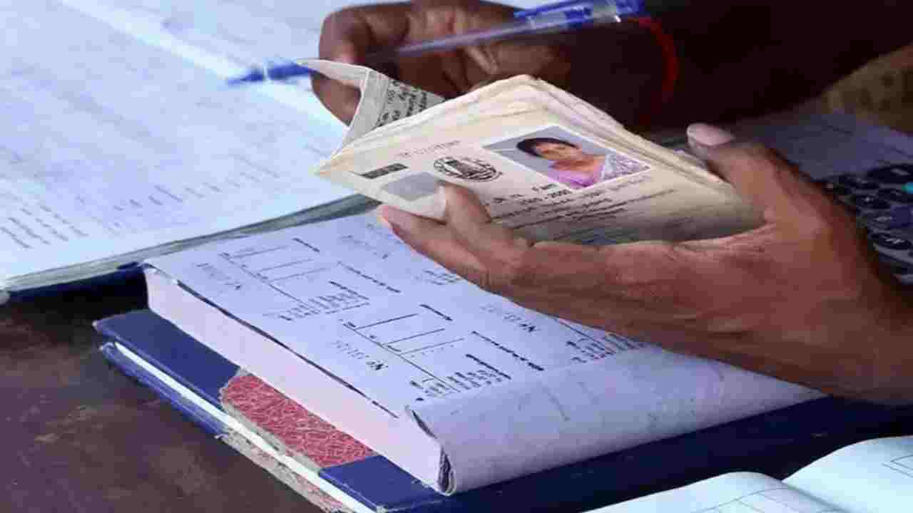 AAY vs PHH Ration Card: How Much Free Ration Will You Get Every Month?