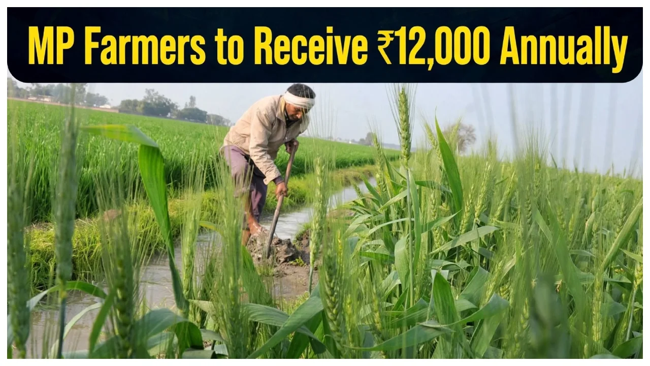 Kisan Yojana 2026 – These Farmers to Get ₹12,000 Annually, How to Verify Payment Status