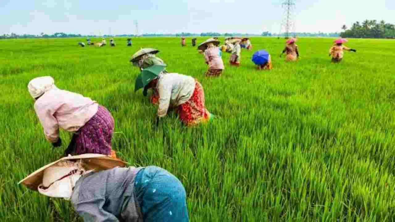 PM-KISAN Scheme: Rs 1.06 Lakh Crore Transferred to Women Beneficiaries, Check Yours