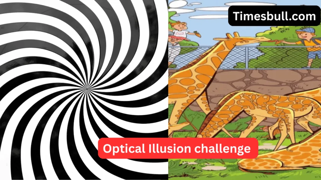 Optical Illusion challenge 1 1