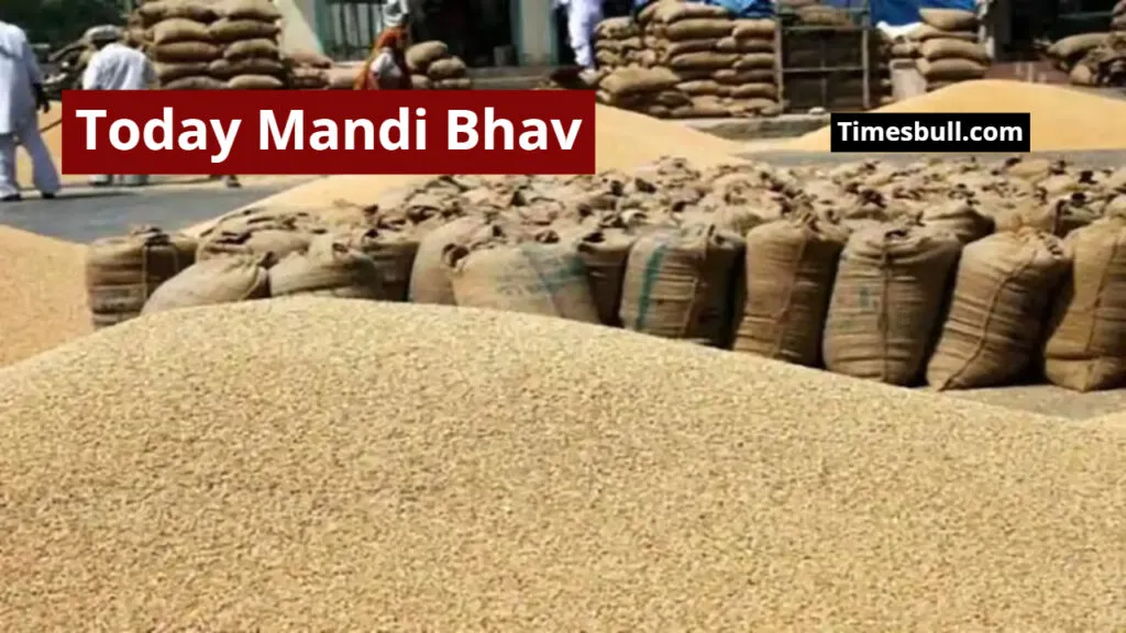Today Mandi Bhav